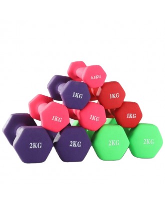 Custom LOGO hot selling cast iron dumbbell indoor women dedicated small rubber hexagonal dumbbell set