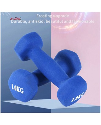 Custom LOGO hot selling cast iron dumbbell indoor women dedicated small rubber hexagonal dumbbell set