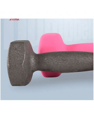 Custom LOGO hot selling cast iron dumbbell indoor women dedicated small rubber hexagonal dumbbell set